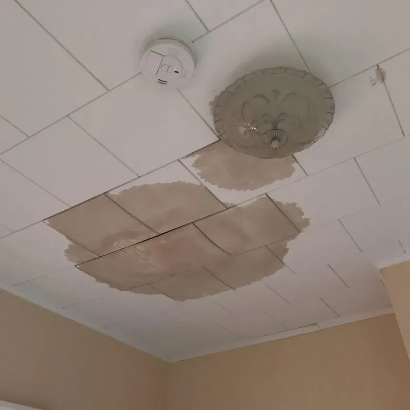 Ceiling Water Damage Repair in Short Pump, VA
